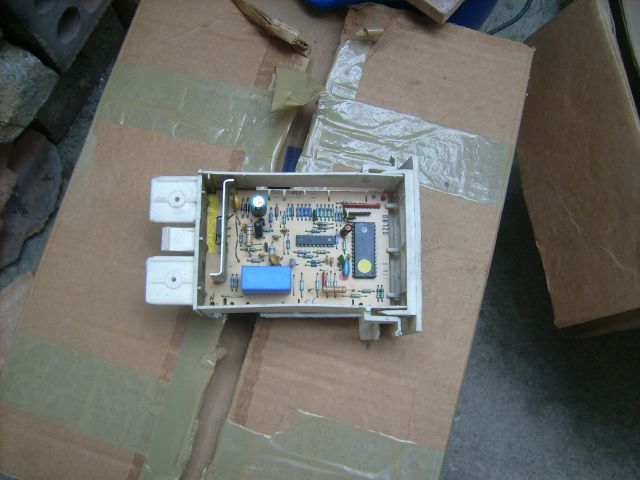 DSCI5509.jpg