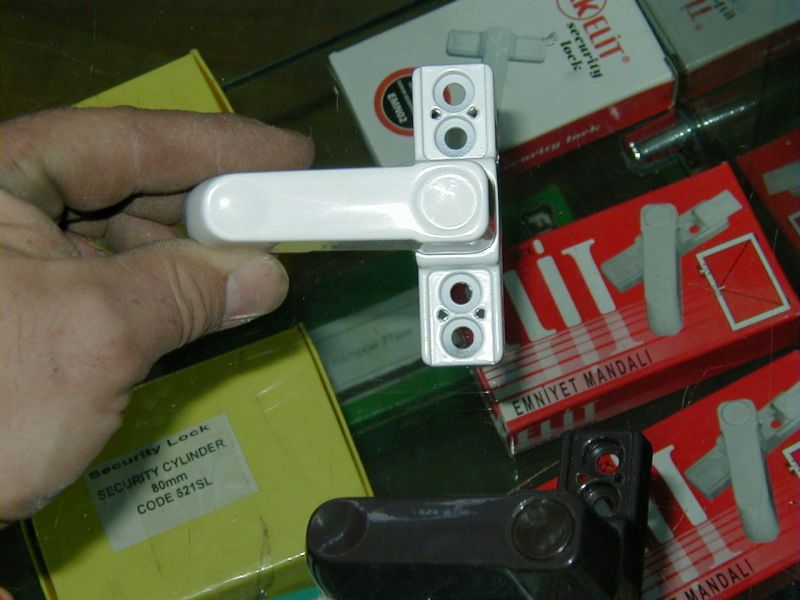 P1010046.jpg