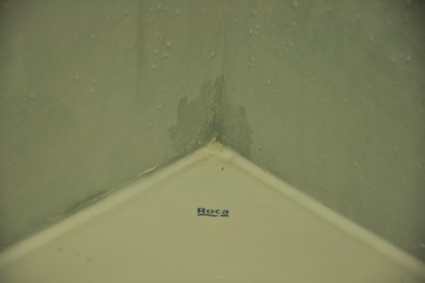 DSC_0261.jpg