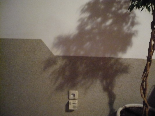P1010779.JPG