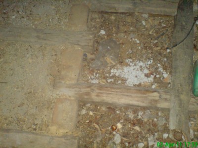 ABCD0006.JPG