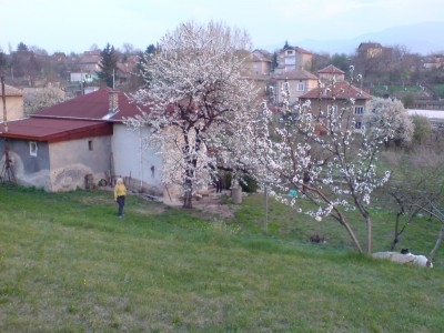 DSC02245.JPG