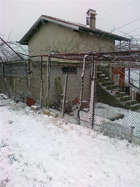 03012011018 (Medium).JPG