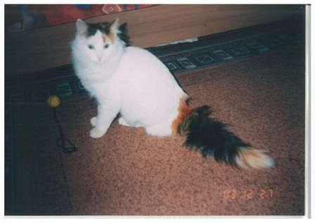 Maxi-0001.jpg