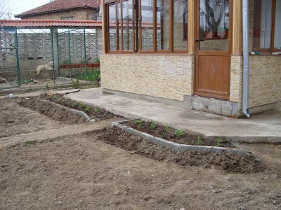 SS853716.JPG