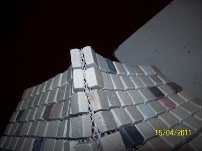 100_1236.JPG