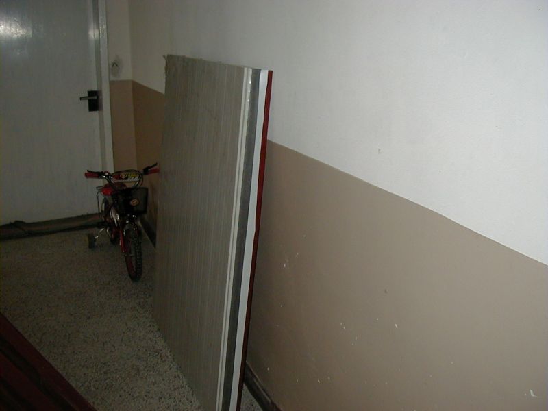P1010031.jpg