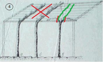rezitba-na-asmi.jpg