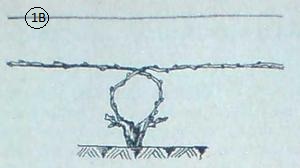 rezitba-karant.jpg