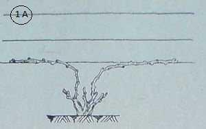 rezitba-guio.jpg