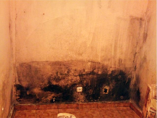DSC_0329.jpg