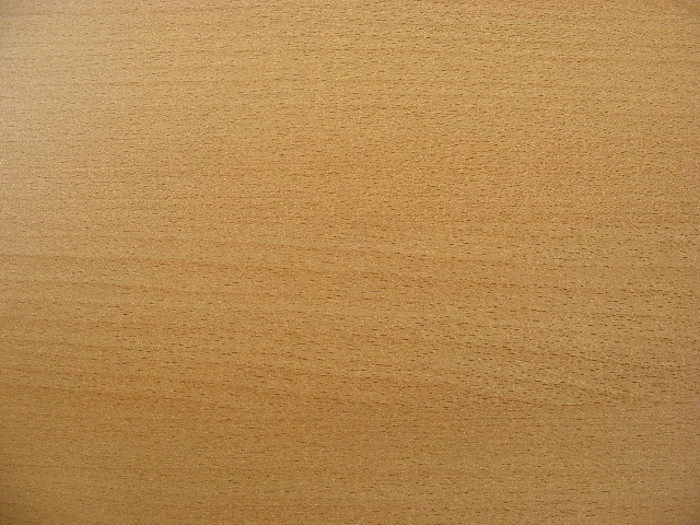 2007_0824venge0023.JPG