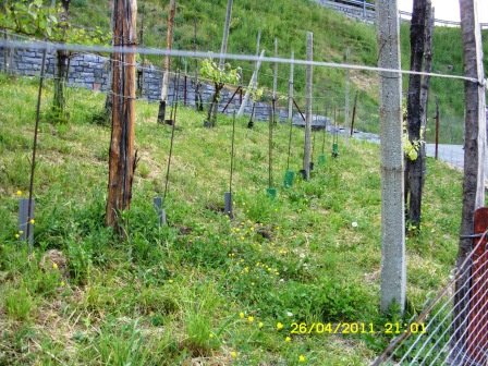 SDC12534.JPG
