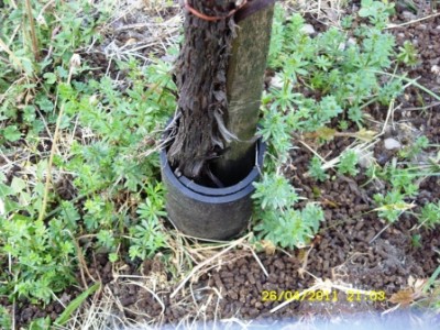 SDC12539.JPG