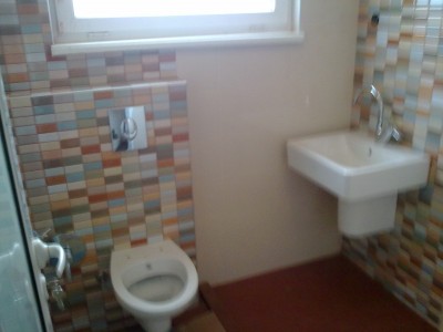 02052011041.jpg