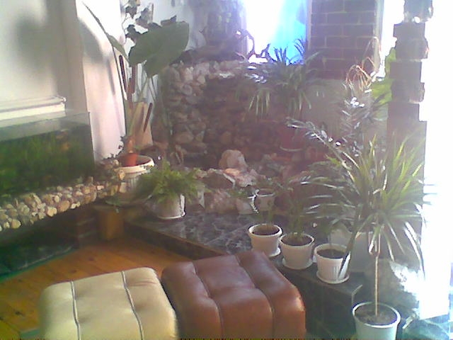 Image004.JPG