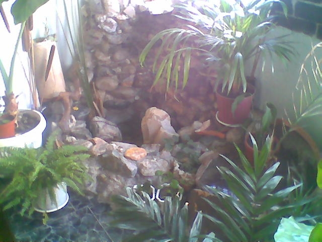 Image003.JPG