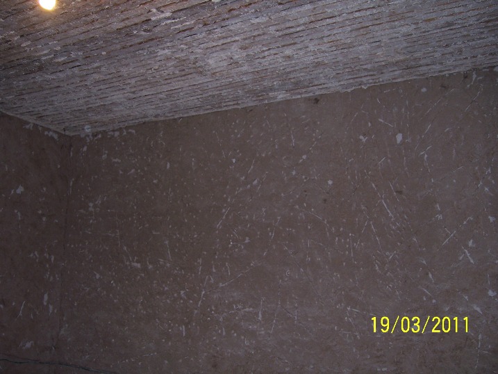 100_8803.JPG