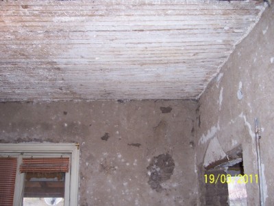 100_8807.JPG
