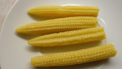 DSCN2721.JPG