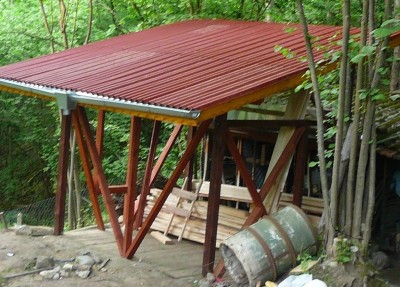 P1050431.JPG