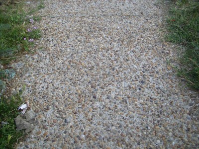 SS854457.jpg