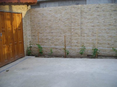 SS854435.jpg