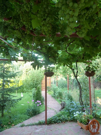 P1000935.JPG