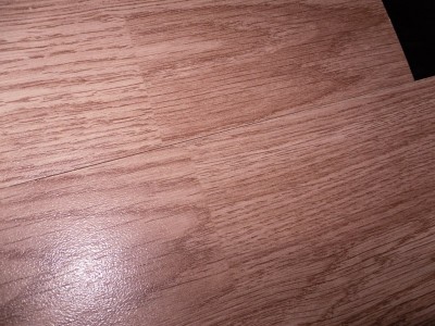 SDC11609.JPG
