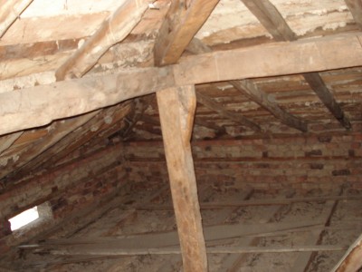 Jan 26 2009 039.jpg
