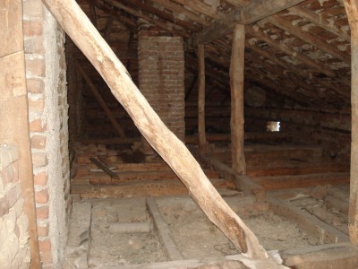 Jan 26 2009 051.jpg