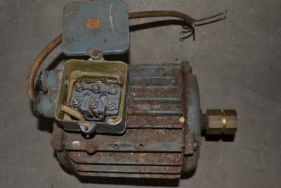 DSC_5667sd.jpg