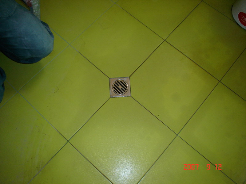 DSC01848.jpg