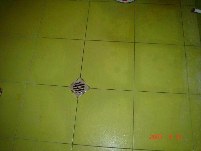 DSC01847.jpg