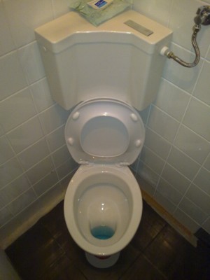 240220111785.jpg