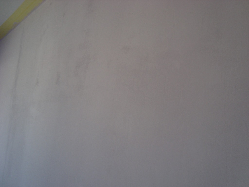 DSC04238.JPG