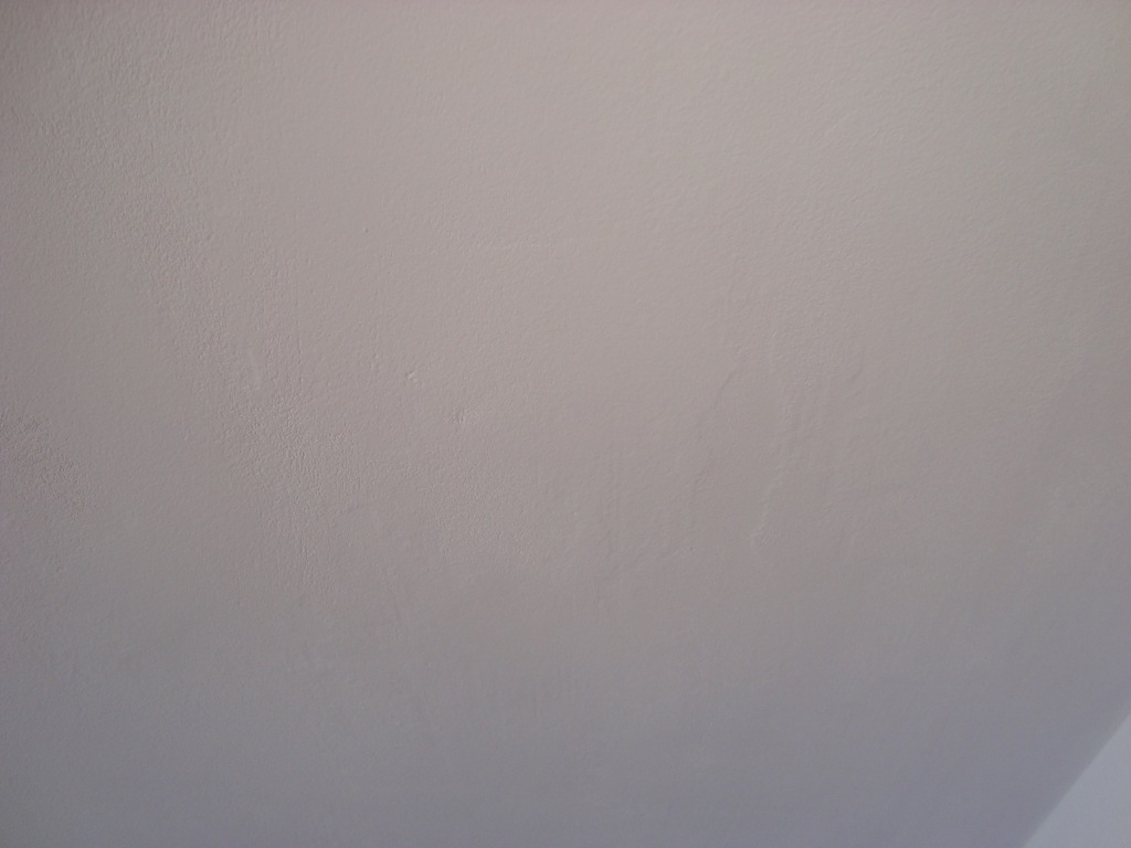 DSC04245.JPG