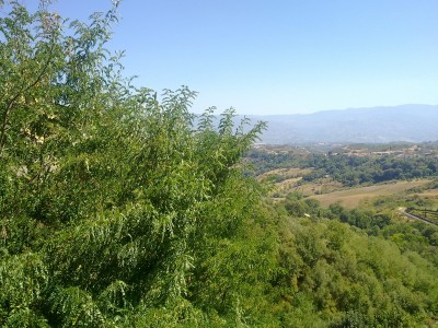 10092011373.jpg