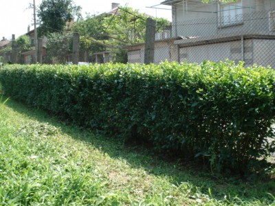 DSC09241.JPG