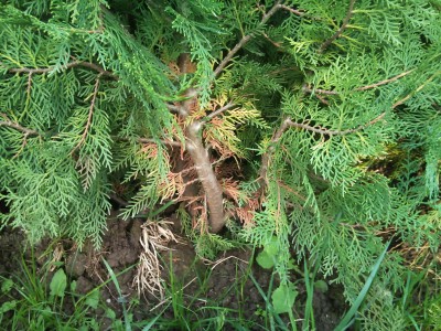 2011-09-25 08.43.40.jpg