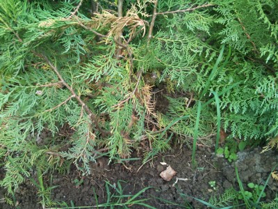 2011-09-25 08.43.47.jpg