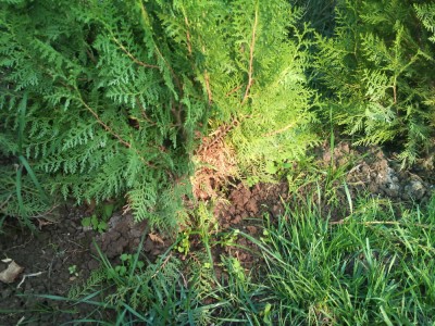 2011-09-25 08.43.55.jpg