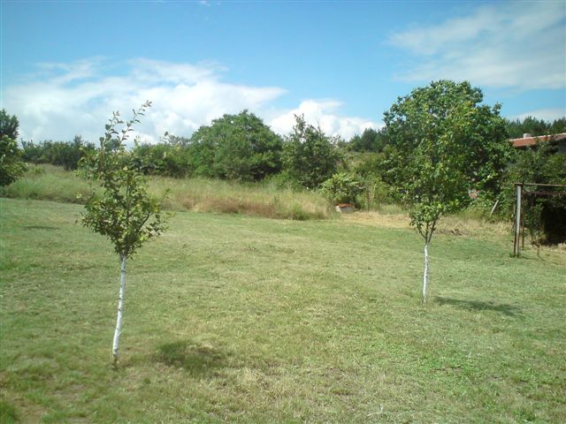 DSC00573.JPG