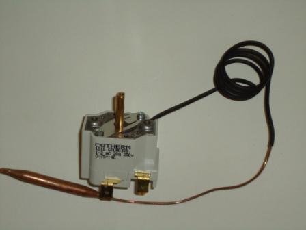 termoregulator.jpg