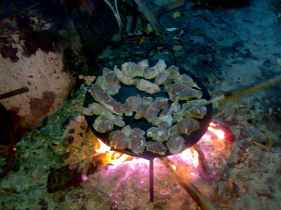 081020111466.jpg