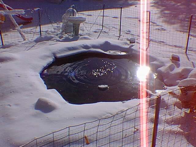 pond_1.jpg