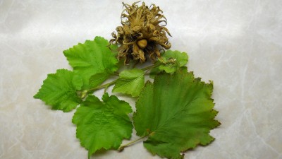 DSCN4745.JPG