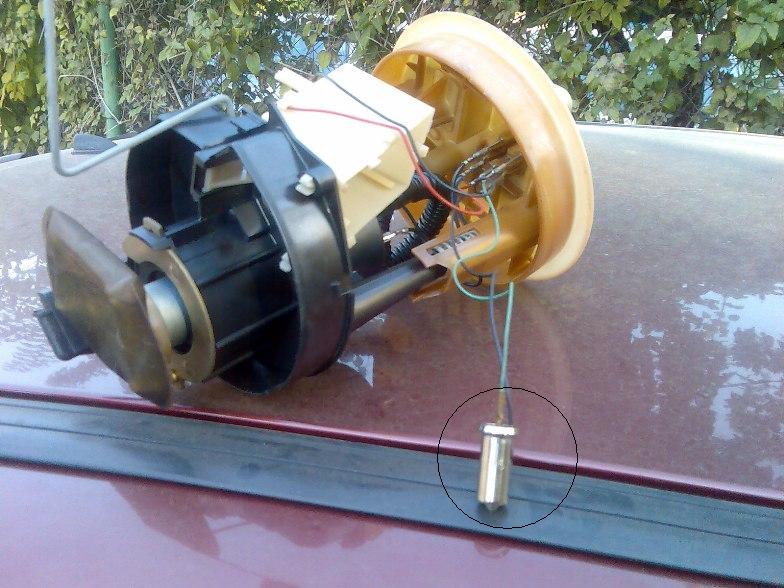 bulb.jpg