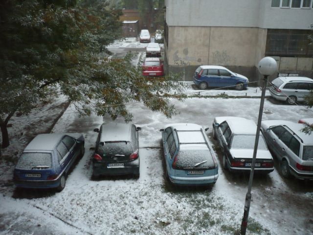 P1070726.jpg