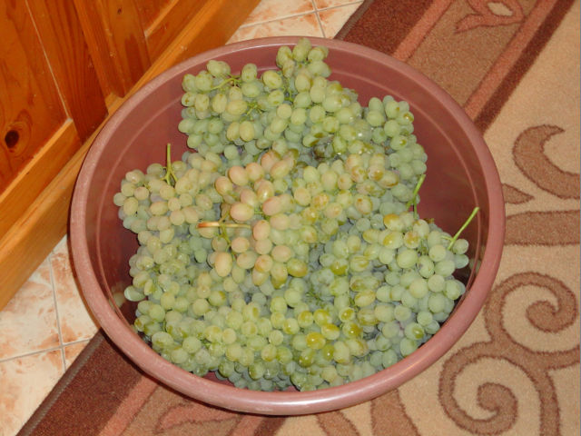 DSC00863 000.jpg